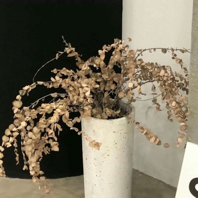 Furry角色互动设计兽圈社群